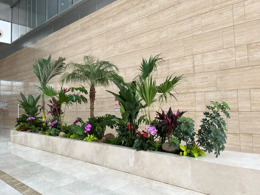 专业盆景租摆，领略宁波北仑风情